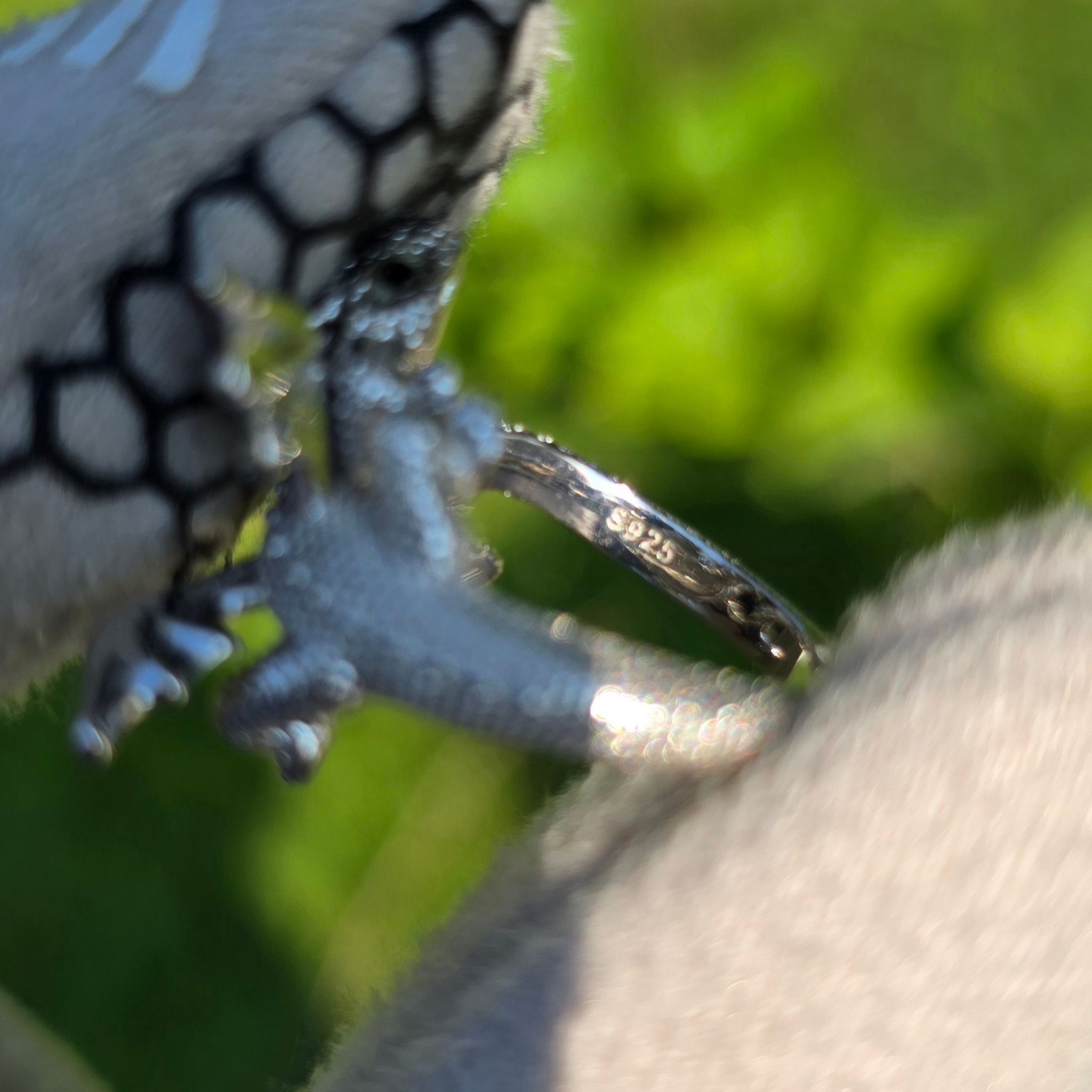 Wyrm's Embrace Bond Rings